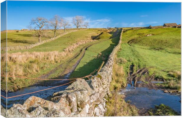 Tracks and Wall, Newbiggin, Upper Teesdale  Canvas Print by Richard Laidler