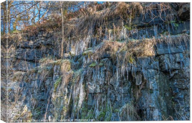 Icicles at Bowlees Quarry, Teesdale Canvas Print by Richard Laidler
