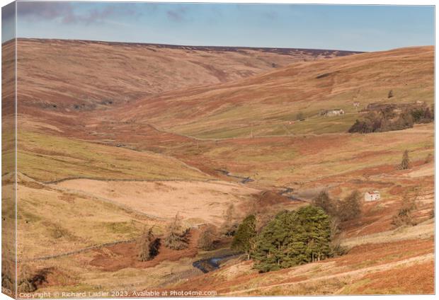 The Hudes Hope, Teesdale  Canvas Print by Richard Laidler