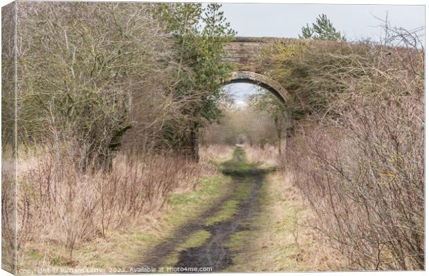 The Tees Railway Path at Cotherstone Canvas Print by Richard Laidler