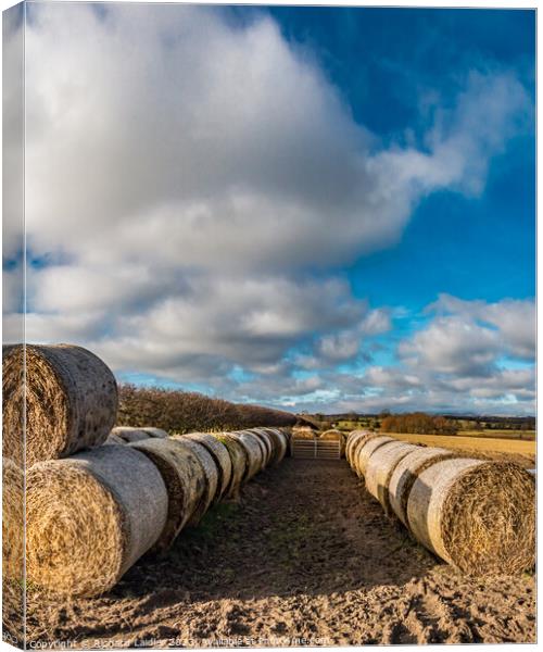 Bales and Sky at Thorpe  Canvas Print by Richard Laidler