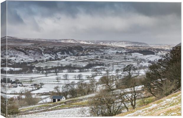 Bright Spot on Cronkley Fell and Scar  Canvas Print by Richard Laidler