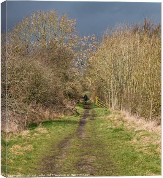 Solitary Dog Walker on the Tees Railway Walk Canvas Print by Richard Laidler
