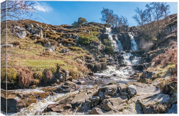 Blea Beck Force, Teesdale Canvas Print by Richard Laidler