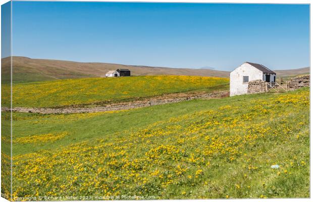 Spring Morning in Harwood Teesdale (4) Canvas Print by Richard Laidler
