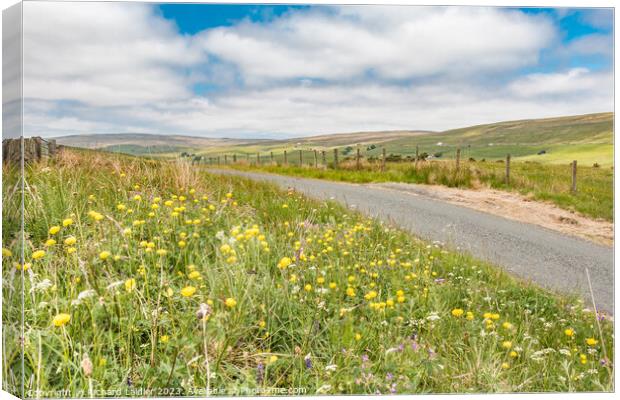 Roadside Summer Wild Flowers at Harwood, Teesdale  Canvas Print by Richard Laidler