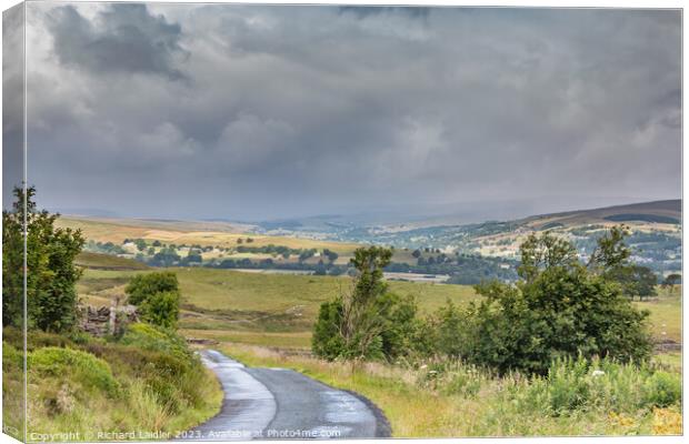 Towards Laithkirk from Bail Hill Canvas Print by Richard Laidler