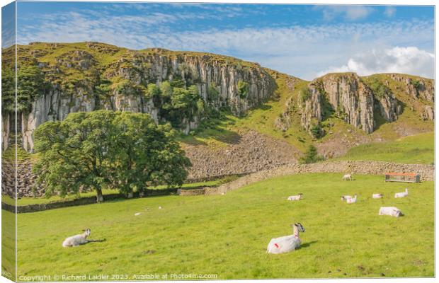 Summer Morning at Holwick Scar, Teesdale Canvas Print by Richard Laidler