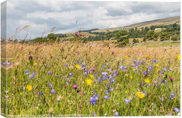 Summer Flower Meadow near Holwick, Teesdale Canvas Print by Richard Laidler