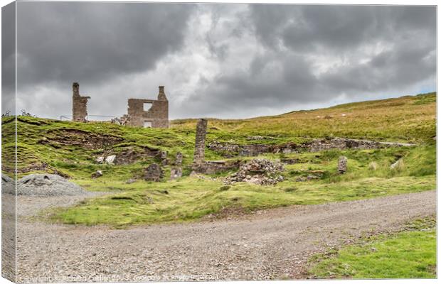 Flushiemere House and Mine Remains, Teesdale Canvas Print by Richard Laidler