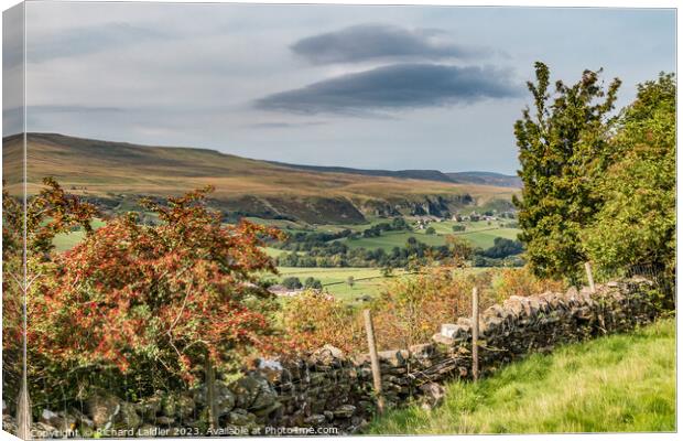 A Touch of Autumn on Middle Side, Teesdale Canvas Print by Richard Laidler