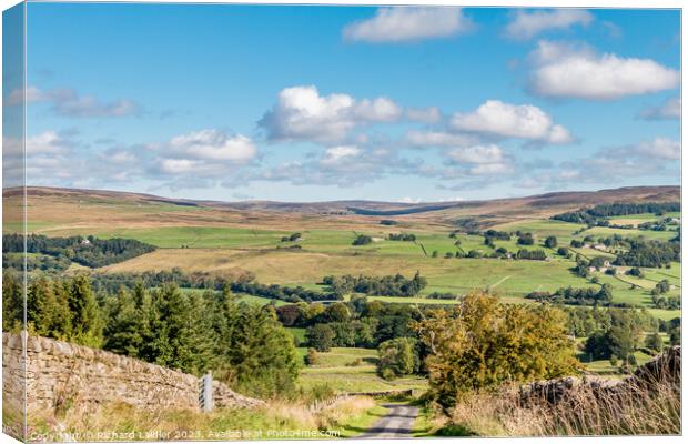 Down from Bail Hill, Mickleton, Teesdale Canvas Print by Richard Laidler