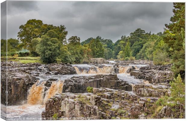 A Damp Autumn Morning at Low Force Waterfall Canvas Print by Richard Laidler