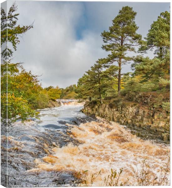 Low Force Waterfall, Teesdale, from Wynch Bridge Canvas Print by Richard Laidler