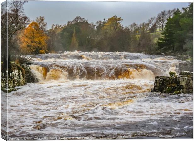 Low Force Waterfall in Full Flood after Storm Debi Nov 2023 Canvas Print by Richard Laidler