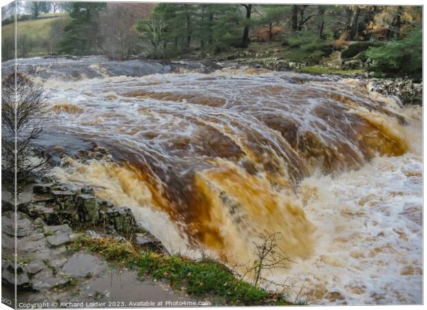 Low Force Waterfall, Teesdale, in full flood from the Pennine Way Canvas Print by Richard Laidler