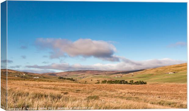 Winter Sun on Harwood, Teesdale Canvas Print by Richard Laidler