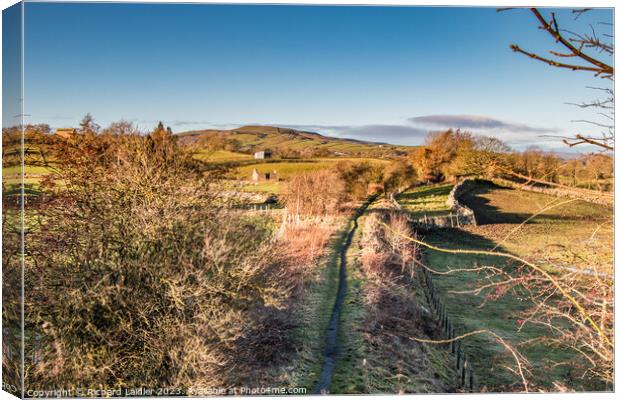 Winter Sun on the Tees Railway Walk at Mickleton Canvas Print by Richard Laidler