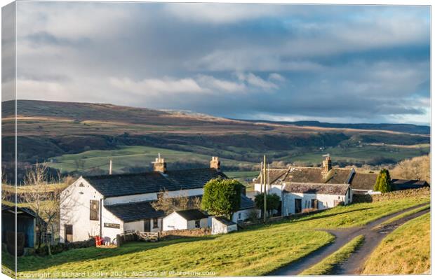 Arla Burn and West Farms, Teesdale Canvas Print by Richard Laidler