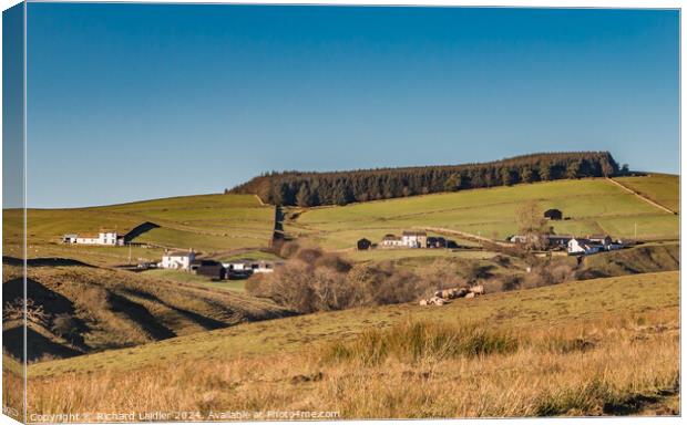 Ettersgill from Ash Hill, Teesdale Canvas Print by Richard Laidler