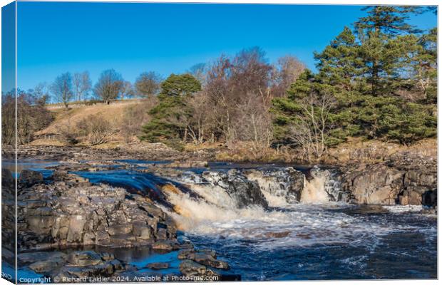 Icy River Tees at Low Force Waterfall Canvas Print by Richard Laidler