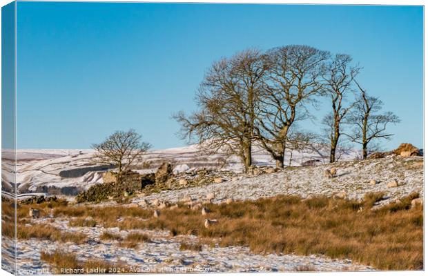 Snowy Toddyshaw Hill, Mickleton, Teesdale Canvas Print by Richard Laidler