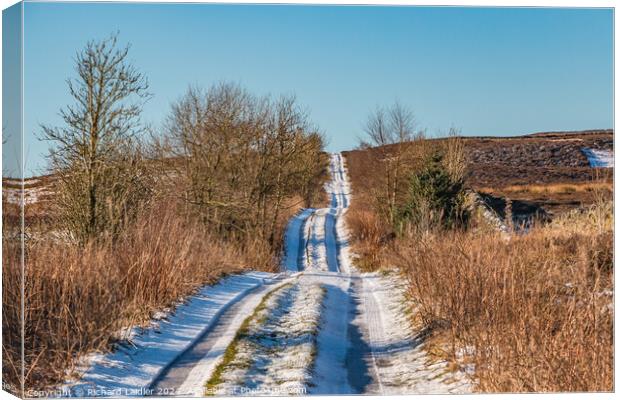 Snowy Botany Road, Teesdale Canvas Print by Richard Laidler