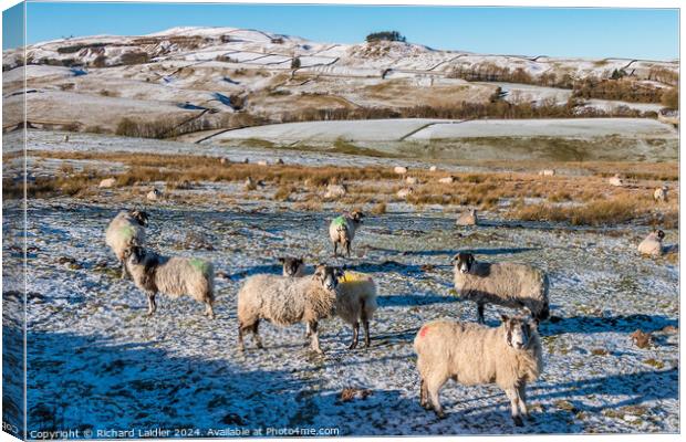 Winter on Bail Green Farm Canvas Print by Richard Laidler