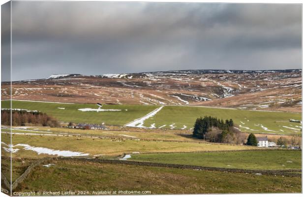 Langdon Beck and Harthope Bank, Teesdale Canvas Print by Richard Laidler