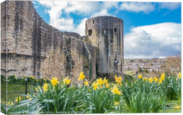 Barnard Castle Spring Cheer Canvas Print by Richard Laidler