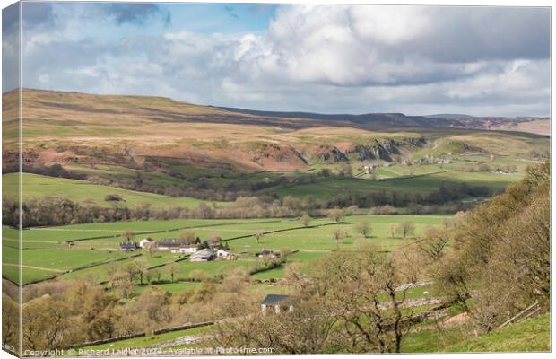 Towards Holwick from Middle Side, Teesdale Canvas Print by Richard Laidler