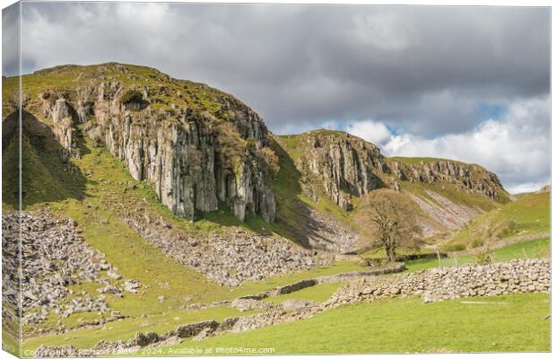 Holwick Scar, Teesdale Canvas Print by Richard Laidler