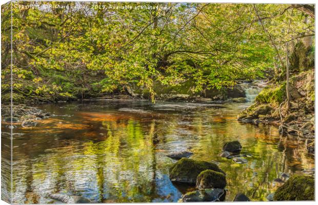 Tranquil Pool on Thwaite Beck, Swaledale Yorkshire Canvas Print by Richard Laidler