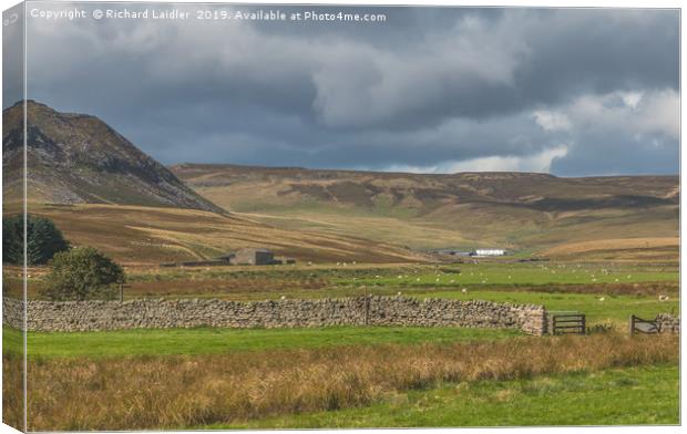Cronkley Scar and Widdybank Fell, Upper Teesdale Canvas Print by Richard Laidler