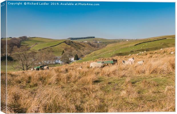 Ettersgill, Upper Teesdale Canvas Print by Richard Laidler