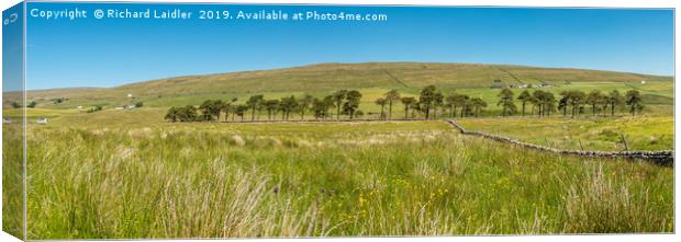 Harwood, Upper Teesdale, Panorama (3) Canvas Print by Richard Laidler