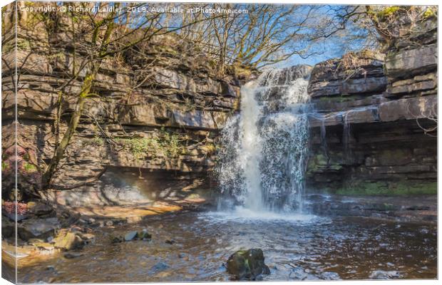 Summerhill Force Waterfall, Bowlees, Teesdale Canvas Print by Richard Laidler