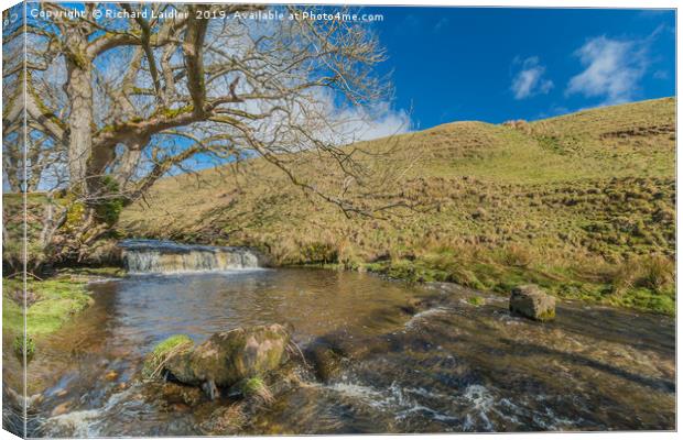 Ettersgill Beck, Teesdale Canvas Print by Richard Laidler