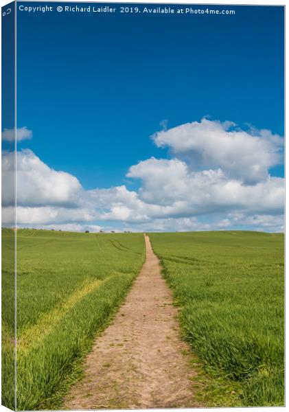 Path to the Horizon Canvas Print by Richard Laidler
