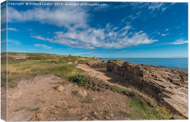 Howick Haven, Northumberland Coast AONB Canvas Print by Richard Laidler