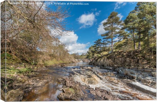 Low Force Waterfall, Upper Teesdale, in Spring Canvas Print by Richard Laidler