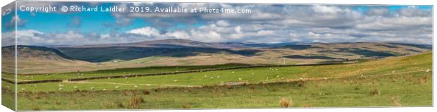 Upper Teesdale Panorama  Canvas Print by Richard Laidler