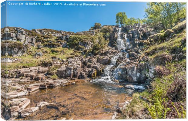 Spring at Blea Beck Force Waterfall, Teesdale Canvas Print by Richard Laidler