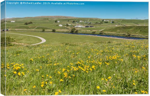 Spring Meadow at Cronkley, Upper Teesdale Canvas Print by Richard Laidler