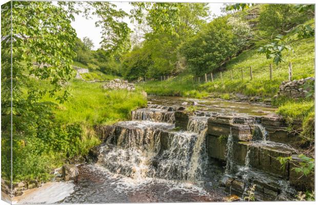Summer at Ettersgill Beck, Teesdale Canvas Print by Richard Laidler