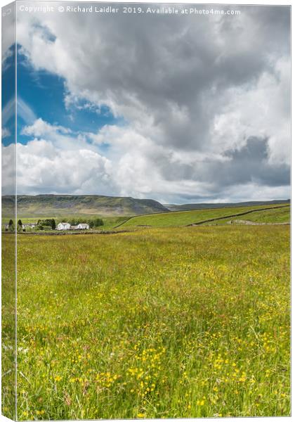 Hay Meadow in Flower at Langdon Beck, Teesdale (2) Canvas Print by Richard Laidler