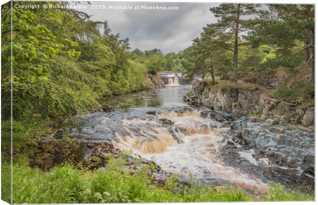 Low Force Waterfall on the Summer Solstice 1 Canvas Print by Richard Laidler