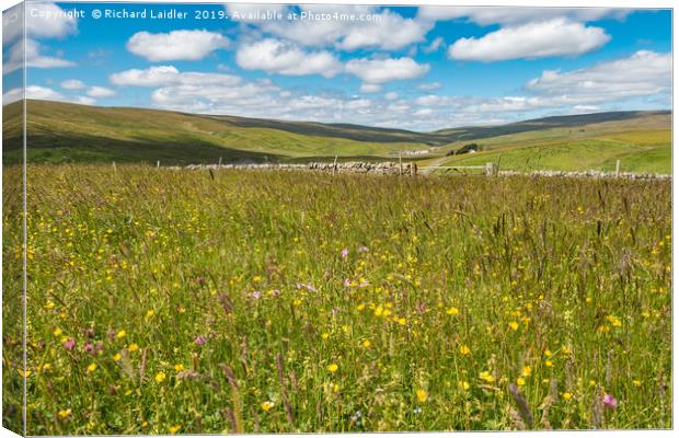 Hay Meadows at Lingy Hill Farm, Upper Teesdale Canvas Print by Richard Laidler