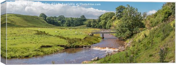 Sleightholme Beck Summer Panorama Canvas Print by Richard Laidler