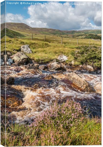 Over Blea Beck towards Cronkley Fell, Teesdale Canvas Print by Richard Laidler